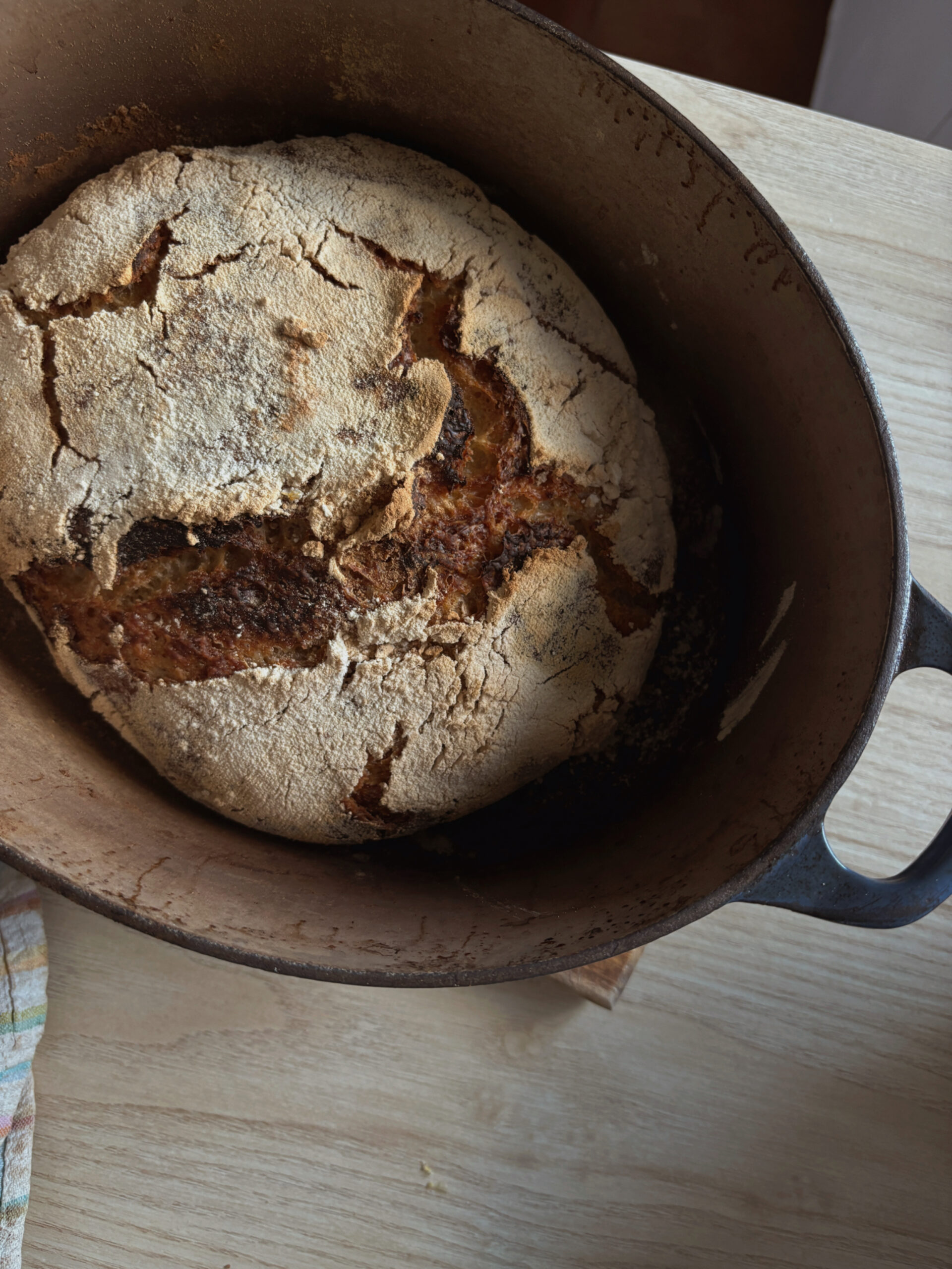 6F10C226-A296-4141-9E33-73C7E0234881